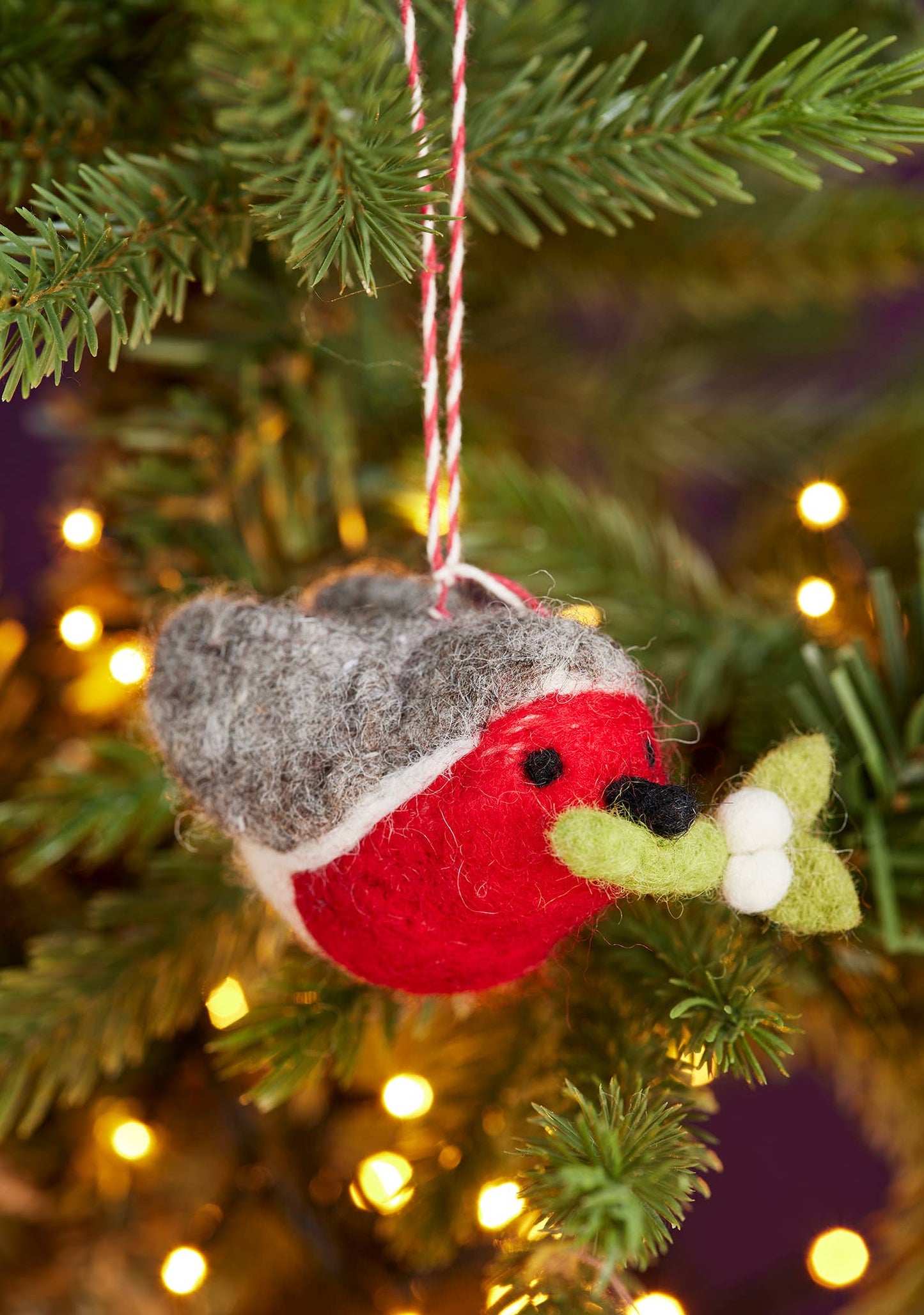 Felt Carry Robin Decoration