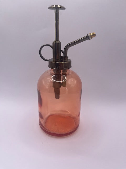 Pink Minimalist Glass Plant Mister